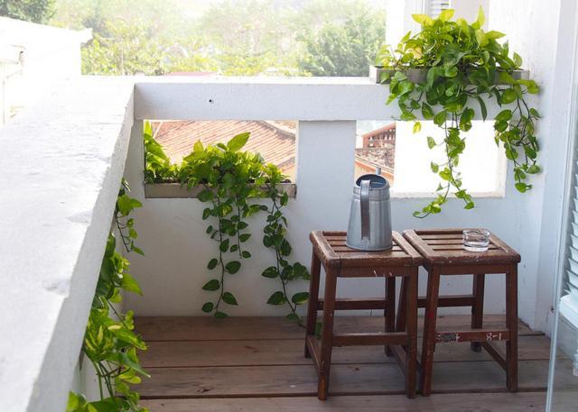 Jin Flower Homestay 台南 エクステリア 写真